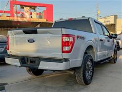 فۆرد F-150